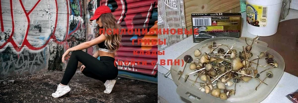 гашишное масло Балабаново