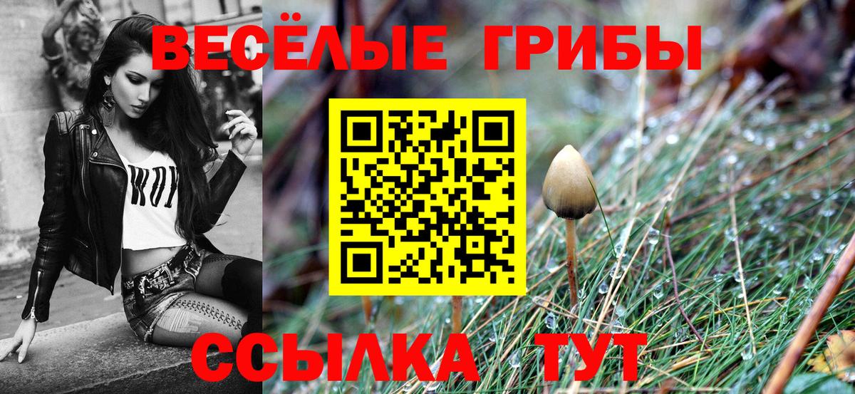 Галлюциногенные грибы ЛСД Саяногорск