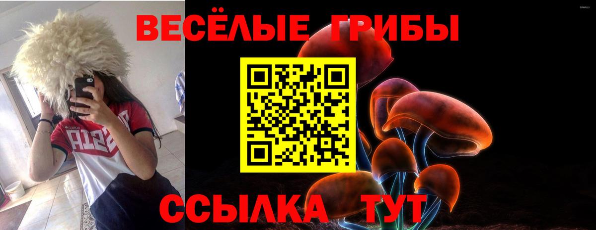 купить  цена  Вход с VPN  Саяногорск  Галлюциногенные грибы Magic Shrooms 